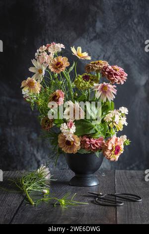 Zinnie in fiore e cosmo fiori in vaso Foto Stock