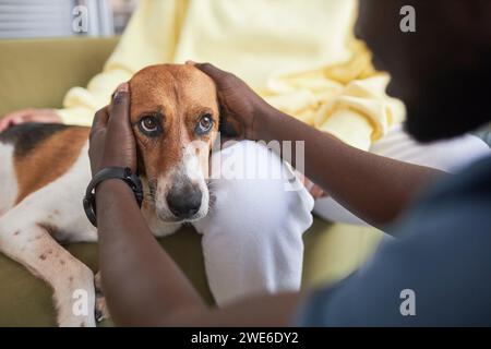 Donna con veterinario che accarezza il cane sul divano in clinica Foto Stock