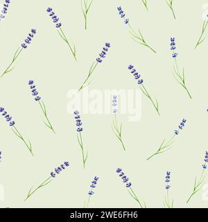 Motivo ad acquerello senza cuciture con illustrazione in lavanda isolata su sfondo bianco. Dettaglio dei prodotti di bellezza e del set botanico, cosmetologia e medicina Foto Stock