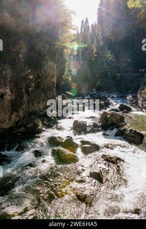 Germania, Baviera, fiume Breitach che scorre attraverso il canyon di Breitachklamm Foto Stock