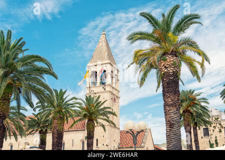 Croazia, Contea di Spalato-Dalmazia, Trogir, palme di fronte alla Chiesa e al Monastero di San Dominic Foto Stock