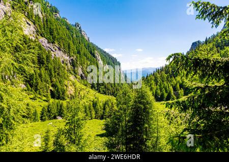 Foreste e montagne lungo il sentiero da Busteni al picco Omu attraverso la valle di Râul Valea Priponului, i monti Bucegi, Romania Foto Stock