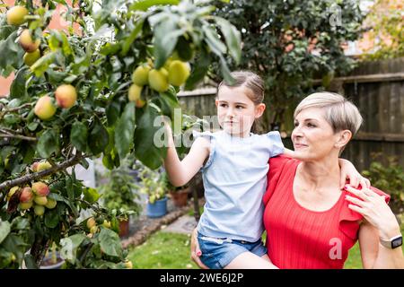 Madre che porta la figlia che raccoglie frutta dall'albero in giardino Foto Stock