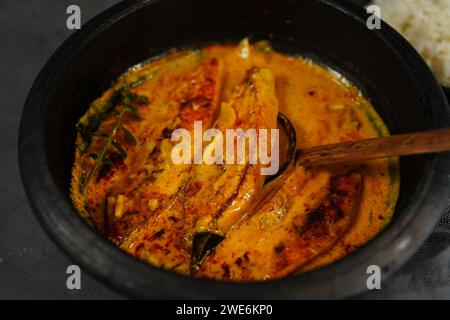 Molea di pesce di Kerala fatto in casa - Molly servita con riso bollito, fuoco selettivo | curry di pesce Pmpano dell'India meridionale Foto Stock