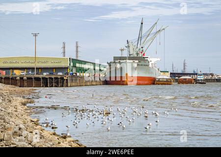 Nave cargo attraccata e un rimorchiatore che spinge una chiatta al Governor Nicholls Street Wharf sul fiume Mississippi a New Orleans, Louisiana Foto Stock