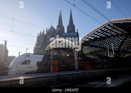 Der Kölner Hauptbahnhof ist weitgehend verlassen - Wartehalle und Gleise sind fast leer. Die Gewerkschaft Deutscher Lokomotivführer GDL Hat ab Mitte der Woche zum ersten mehrtägigen Streik im aktuellen Tarifkonflikt mit der Deutschen Bahn und anderen Unternehmen aufgerufen. Die Deutsche Bahn Hat mit einem Notfall-Fahrplan für sporadische Verbindungen reagiert. Themenbild, Symbolbild Köln, 11.01.2024 NRW Deutschland *** la stazione centrale di Colonia è in gran parte deserta la sala d'attesa e i binari sono quasi vuoti. l'unione tedesca dei macchinisti ferroviari GDL ha chiamato il primo sciopero della durata di diversi giorni in t Foto Stock