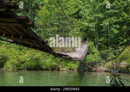 Ponte sospeso su cane Creek nel Fall Creek Falls State Park vicino a Spencer, Tennessee Foto Stock