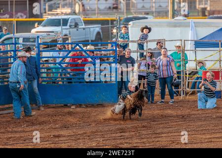 Giovane ragazzo che cavalca una pecora in un evento di busting di montoni durante il rodeo della fiera della contea di Hardin a Savannah, Tennessee Foto Stock