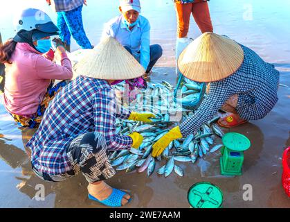 Sessione di pesca sul mercato del pesce scena di mare persone riunite all'interno della vendita di pesce cestino, faticosi pescatori a remi hanno portato a riva il villaggio di pescatori di Phan Thiet Foto Stock
