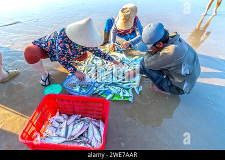 Sessione di pesca sul mercato del pesce scena di mare persone riunite all'interno della vendita di pesce cestino, faticosi pescatori a remi hanno portato a riva il villaggio di pescatori di Phan Thiet Foto Stock