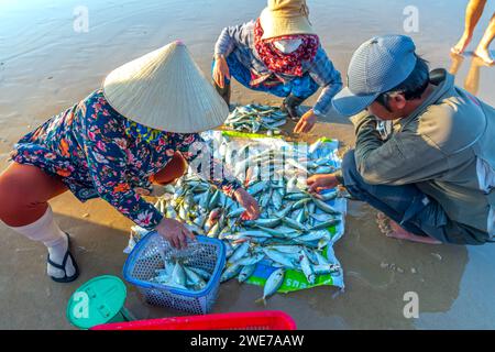 Sessione di pesca sul mercato del pesce scena di mare persone riunite all'interno della vendita di pesce cestino, faticosi pescatori a remi hanno portato a riva il villaggio di pescatori di Phan Thiet Foto Stock