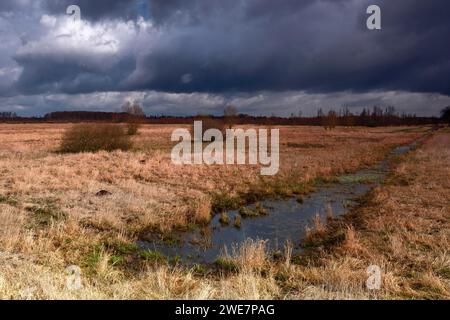 Umori leggeri sopra una brughiera, temporali che si avvicinano alla brughiera, parco naturale Flusslandschaft Peenetal, Mecklenburg-Vorpommern, Germania Foto Stock