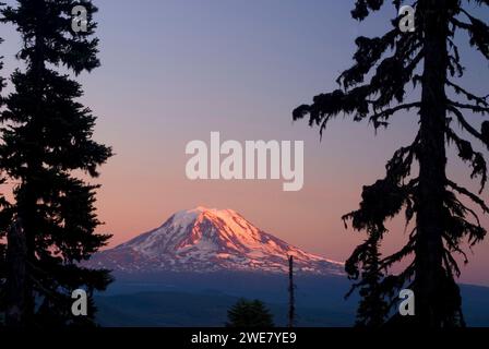 Mt Adams da Goat Ridge, Goat Rocks Wilderness, Mt Baker-Snoqualmie National Forest, Washington Foto Stock