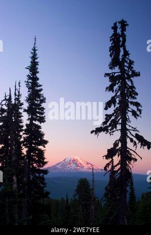 Mt Adams da Goat Ridge, Goat Rocks Wilderness, Mt Baker-Snoqualmie National Forest, Washington Foto Stock