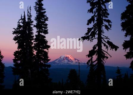 Mt Adams da Goat Ridge, Goat Rocks Wilderness, Mt Baker-Snoqualmie National Forest, Washington Foto Stock