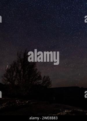 Il cielo stellato notturno sopra scogliere e alberi. Arizona Foto Stock