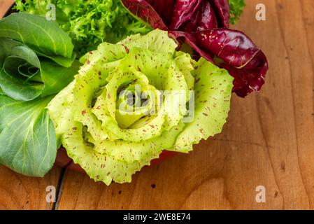 Quattro insalate in tazza su un antico tavolo in legno: Cicoria grumolo verde, radicchio di Chioggia, radicchio di Castelfranco e insalata riccia. Foto Stock