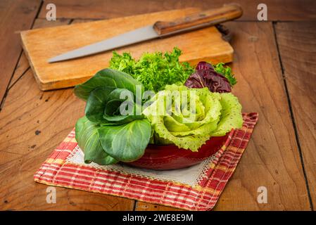 Quattro insalate in tazza su un antico tavolo in legno: Cicoria grumolo verde, radicchio di Chioggia, radicchio di Castelfranco e insalata riccia. Foto Stock