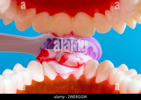 Spazzolare i denti con lo spazzolino con il dentifricio, vedere attraverso la bocca Foto Stock