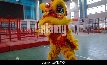 Nanning, regione autonoma cinese del Guangxi Zhuang. 14 gennaio 2024. Due ballerini in costume praticano movimenti di danza del leone nella contea di Tengxian, nella regione autonoma del Guangxi Zhuang, nella Cina meridionale, il 14 gennaio 2024. PER ANDARE CON "Across China: A Southern Chinese Town Lives and Breawn Lion Dancing" credito: Wu Sisi/Xinhua/Alamy Live News Foto Stock