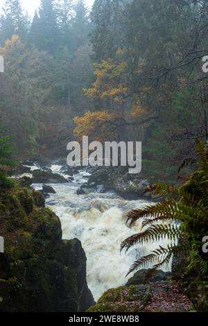 Fiume Braan nel parco della foresta di Craigvinean della passeggiata Hermitage a Dunkeld Foto Stock