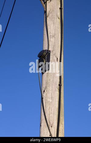 Un metodo per mantenere i fili dell'antenna tesi e in alto sui poli a cui erano collegati ed è realizzato in plastica stampata. Foto Stock