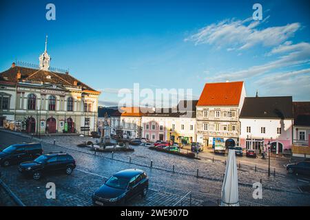 Municipio e fila di case, Weitra, Waldviertel, Austria Foto Stock