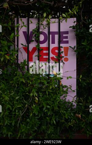 Voto abbandonato segno di sì dal referendum indigeno, lasciato su un recinto molto tempo dopo la fine della campagna, offuscato da viti troppo coltivate Foto Stock