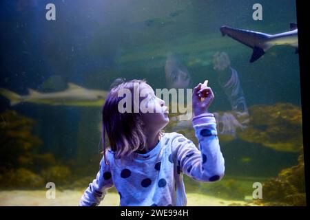 Una giovane ragazza deliziosa guarda con stupore gli squali scivolare sopra il tunnel trasparente dell'oceanarium. Foto Stock