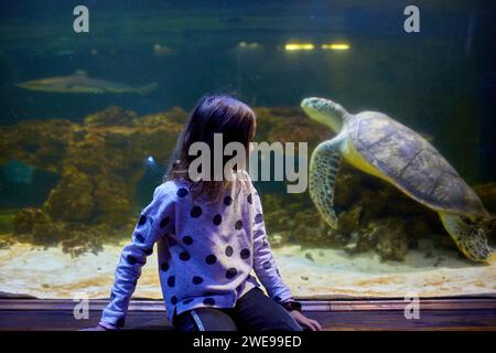 Una giovane ragazza deliziosa guarda con stupore mentre la tartaruga scivola sopra il tunnel trasparente dell'oceanarium. Foto Stock