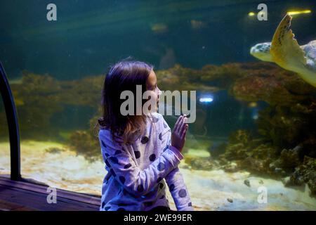 Una giovane ragazza deliziosa guarda con stupore mentre la tartaruga scivola sopra il tunnel trasparente dell'oceanarium. Foto Stock