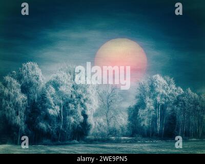 ARTE CONTEMPORANEA: Inverno nel Loisach Moor vicino a Benediktbeuern, Oberbayern, Germania di Edmund Nagele FRPS Foto Stock