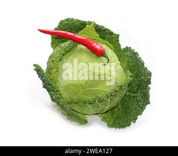 foglie di cavolo savoy riccio verde con peperoncino rosso isolato, per striscione, carta menu' ciotole di insalata vegetariana vegan con volantino di foglie di cavoli Foto Stock