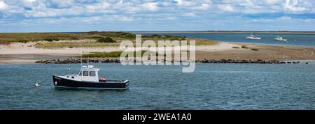 Vista delle foche che riposano sull'isola di Tern dal molo di Chatham, Cape Cod Foto Stock