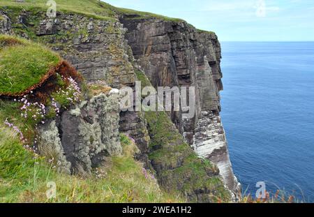 Paesaggio con scogliere e picchi di mare sull'isola di Handa al largo della costa nordoccidentale della Scozia Foto Stock