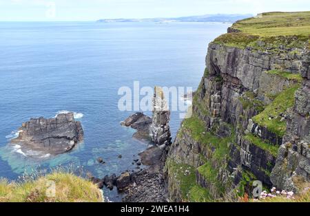 Paesaggio con scogliere e picchi di mare sull'isola di Handa al largo della costa nordoccidentale della Scozia Foto Stock