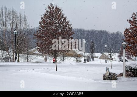 scena della neve, paesaggio, alberi, lampioni, case, strada coperta di neve, tranquilla, tranquilla, serena, inverno, Pennsylvania, Chester County, Pennsylvania Foto Stock