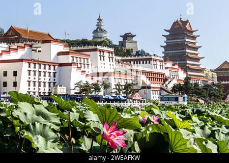 Jinzhou, Jiuhua Mountain, Liaoning, Linghai, Palazzo del piccolo Potala, Repubblica Popolare Cinese, ninfee Foto Stock