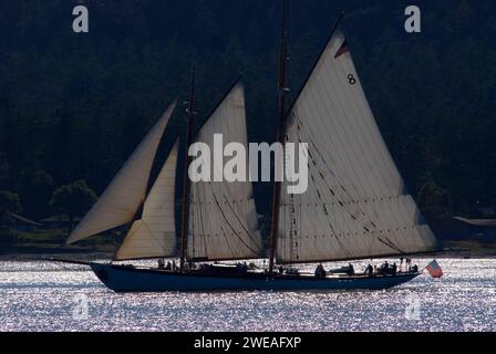 Tall Ship, Shark Reef Santuario, Lopez Island, Washington Foto Stock