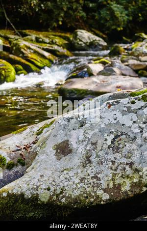 Mossy Rocks in Stream con fogliame autunnale, Smoky Mountains - Vista ad angolo ridotto Foto Stock