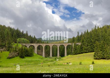 Ponte ferroviario Chramossky viadukt vicino a Telgart, Horehronie, Slovacchia Foto Stock