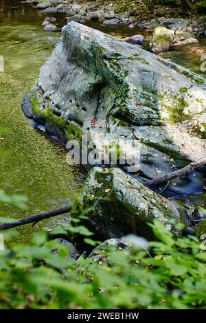 Mossy Rock by Serene Forest Stream, Smoky Mountains Foto Stock