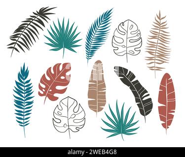 Set di foglie di palma, piante tropicali, illustrazione estiva Illustrazione Vettoriale