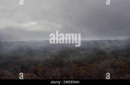 Mistica foresta nebbiosa al mattino d'autunno con cielo nuvoloso. Foto Stock