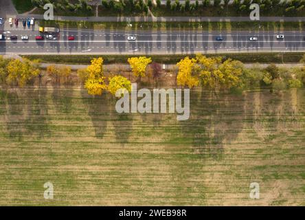 Campo agricolo con grano invernale sulla strada. Vista dall'alto dell'antenna. Foto Stock