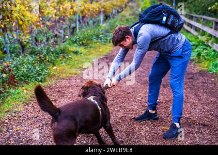 Un uomo al parco autunnale che gioca con un cane labrador al cioccolato. Un tizio lancia un bastone a un cane Foto Stock