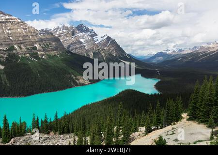 Il Lago Peyto Canada Foto Stock