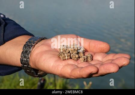 Pellet in mano al pescatore. Un pescatore con esca. Primo piano di una mano che tiene il mangime. Vista a colori, sfondo sfocato, messa a fuoco selettiva. Copia spac Foto Stock