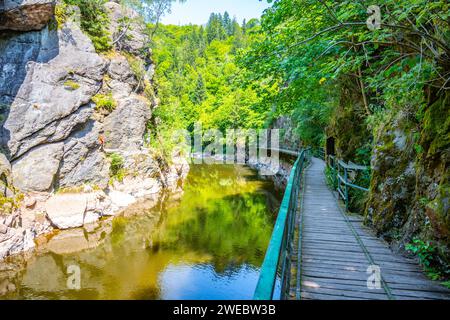 Sentiero con ponte di legno sopra il fiume Jizera. Rieger Trail tra Semily e Spalov. Cechia Foto Stock
