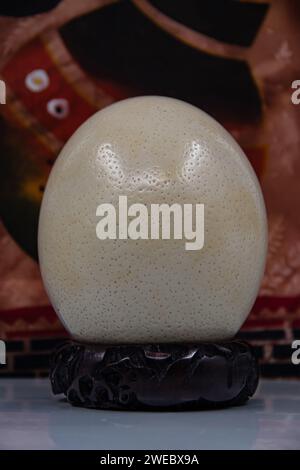 Uovo di struzzo di grandi dimensioni collocato su un supporto di legno, isolato Foto Stock